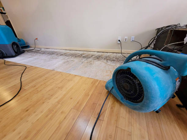 Professional Ceiling Water Damage Repair technician working in Springville, UT